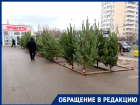 «На деревья больно смотреть»: ёлочный базар в Краснодаре столкнулся с критикой жителей