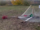 Жители Краснодара сняли на видео атаковавшую «Дуб Хранитель» женщину