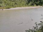 В Краснодарском крае в реке исчезла девочка