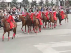 Лошадь казака взбесилась на параде в Краснодаре