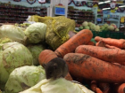 В Краснодаре посетителей гипермаркета встречает «новогодняя» мышь