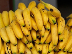  На трассе под Армавиром из перевернувшейся фуры рассыпались несколько тонн бананов