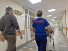 Отправить на Кубань самолёт за истерзанным собаками мальчиком мог Владимир Путин