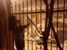 Мужчина с топором напал на забор соседей в Краснодаре - видео