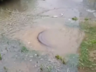В Краснодаре вода из канализации затопила дворовые территории: видео