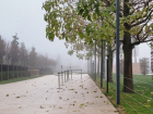 Туман отпугнул посетителей Японского сада в парке Галицкого