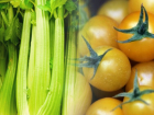 Кто поставляет овощи и фрукты в гипермаркеты и на рынки Краснодара