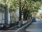 Мэрия взялась за вырубку деревьев, представляющих угрозу для краснодарцев