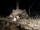 На Кубани неопытный водитель протаранил дерево