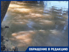 Утки задыхаются в химии: краснодарцев беспокоит состояние озера в парке Старая Кубань 