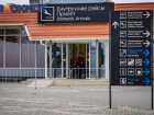 Аэропорт Краснодара решил потратить 6,5 млн рублей на обувь, носки и перчатки