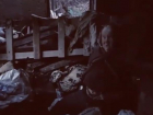Потерявшей в пожаре дом и спящей в коробке на улице старушке призывают помочь волонтеры Краснодара 