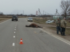 В кубанском селе парень на "Ладе" сбил лошадь насмерть