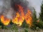 В Краснодарском крае объявили наивысший класс пожароопасности
