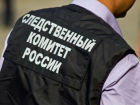 Глава СК России проконтролирует расследование смерти пятилетней девочки в Краснодарском крае
