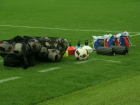  Футбольные сборные России и Бельгии сыграют в Сочи на новом стадионе 