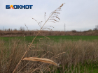Часть сельхозземель в Краснодарском крае изъяли для строительства водопровода