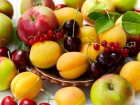 Около 30 тысяч тонн фруктов и ягод собрали на Кубани