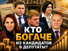Гектары земли, премиум-авто и миллионы на счетах: сколько заработали кубанские кандидаты в Госдуму от «Единой России»