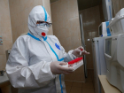 В Краснодарском крае выявили уже 40 случаев заражения штаммом «омикрон»