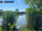 В Краснодарском крае потеплеет до 29 градусов