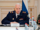 Нападение стаи собак на двух девочек в Краснодаре попало в поле зрения Бастрыкина 