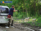 Агрессивные псы, дротики и радикальные зоозащитники: как отлавливают бродячих собак в Краснодаре