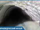 Под угрозой безопасность рыб в озере Абрау под Новороссийском