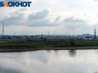 В станице Краснодарского края у коров нашли вирус лейкоза
