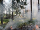 Лесной пожар под Новороссийском отнял у пожарных 18 часов