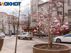 Тепло до +11 ворвётся в Краснодар