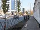  На Суворова в Краснодаре посадят деревья и сделают вертикальное озеленение 