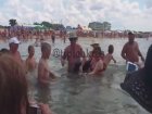 Акула в Черном море плавала среди купающихся – видео