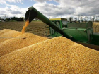 Более 76 тысяч тонн зерна отправили на экспорт за прошедшие выходные