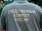 В СК Адыгеи опровергли информацию об изнасиловании погибшей 3-летней девочки