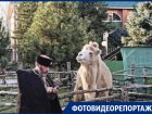 При храме в Краснодаре открыли вертеп с верблюдом и барашками: фото и видео