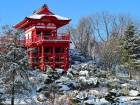В парке Галицкого и Японском саду после снегопада наступила зимняя сказка