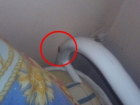 «Тараканы и пауки»: ночью жизнь пациентов больницы Сочи становится адом