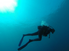 На Кубани ищут женщину-дайвера из института океанологии