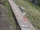 «Сделали помойку»: в Краснодаре озеро Карасун завалили мусором