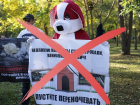 Зоозащитники Краснодара назвали провокацией несанкционированный митинг в Чистяковской роще