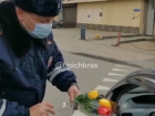 Для милых дам: чиновники и полицейские дарят цветы женщинам на улицах Краснодара