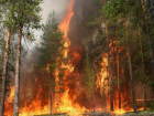 Лесные пожары в Краснодарском крае контролируют с помощью беспилотников и морских катеров
