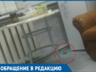 «По полу свободно бегают мыши», - жительница Краснодара рассказала о пребывании в ЗИПовской больнице