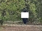 Мастурбирующий мужчина вновь вышел «на охоту» в Ботанический сад Краснодара