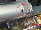 В известном супермаркете Краснодара обнаружили тараканов