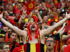 Получил перелом празднующий победу бельгийский фанат в Сочи