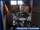 Полчища тараканов и зловонный запах: краснодарец превратил квартиру в многоэтажке в помойку