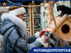 Лемуры, кенгуру и гиены: как уникальные животные переносят зиму в Краснодаре 