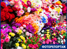 От синих роз до мини-калл: искусственные цветы заполонили рынки Краснодара